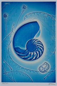 Image description is not available for 2024.015